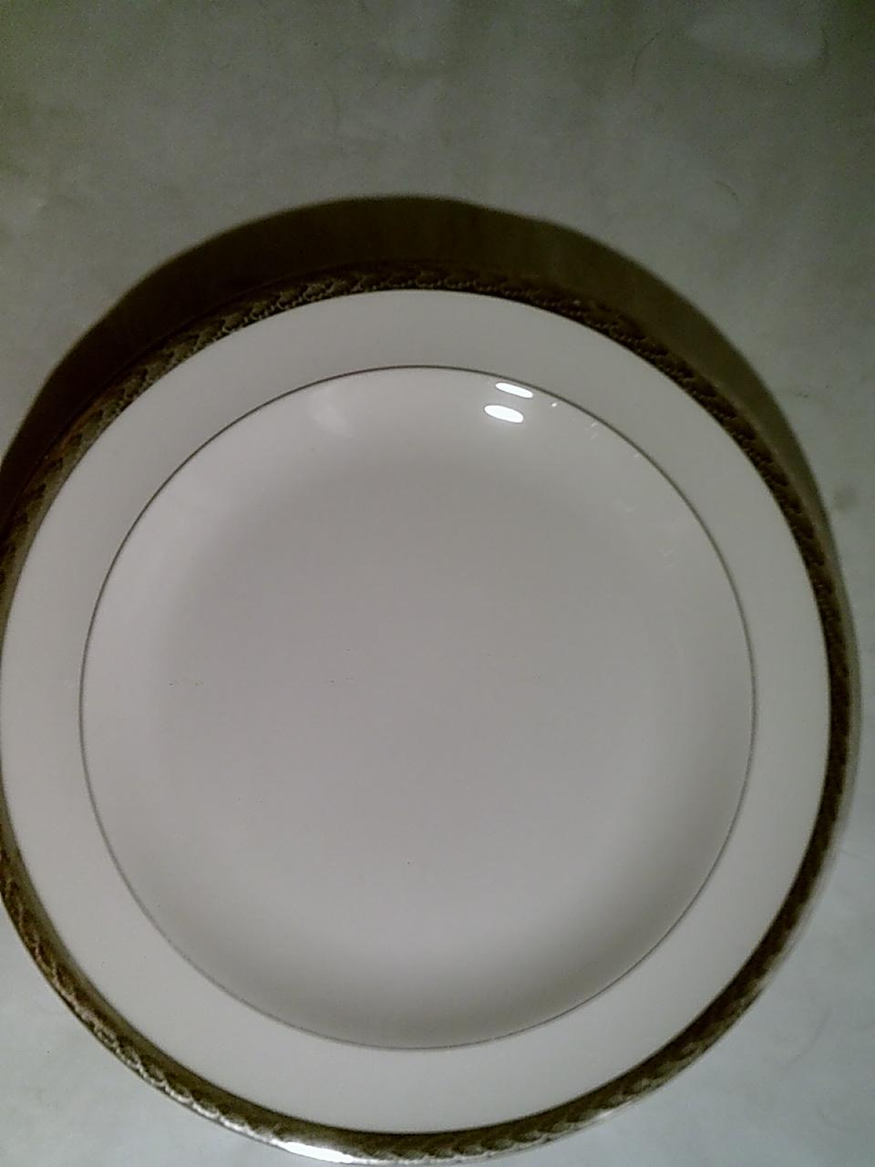 limoges china co. usa sebring etched platinum china dinnerware